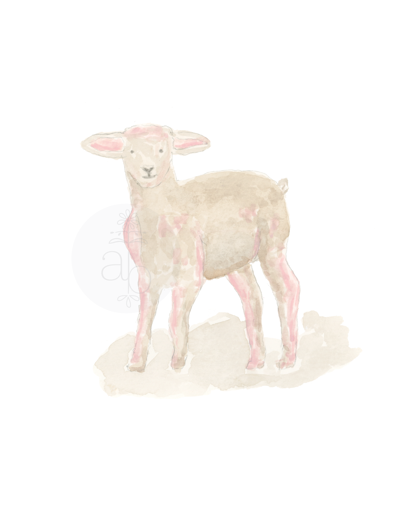 Framed Lamb Print in Pink