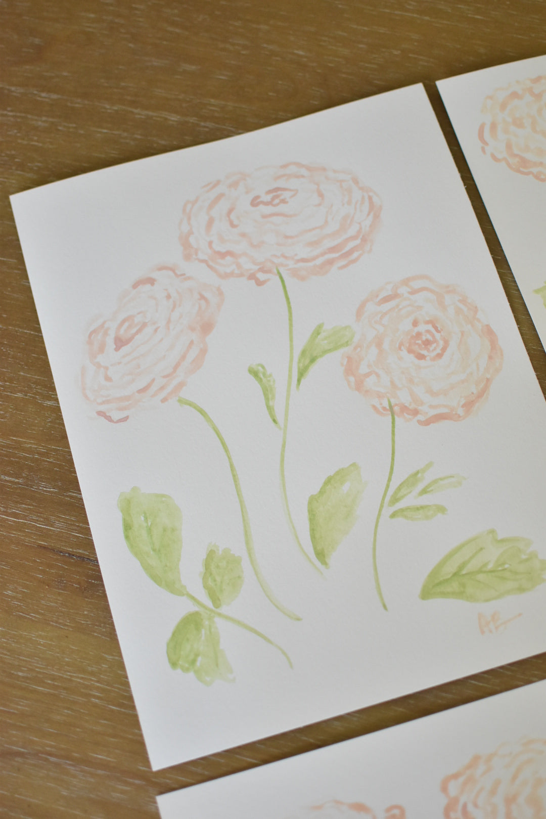Original Watercolor Ranunculus #1