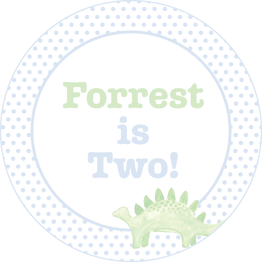 Donuts and Dinosaurs Party Stickers