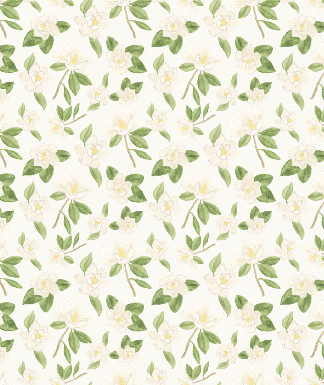 Magnolia Wrapping Paper Sheets in Cream