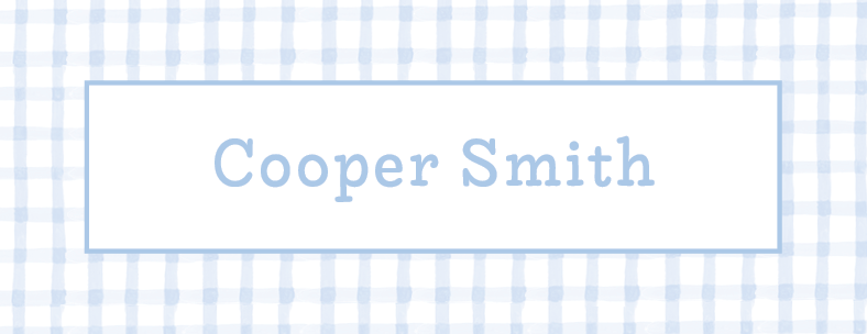 Water Resistant Labels - Blue Gingham